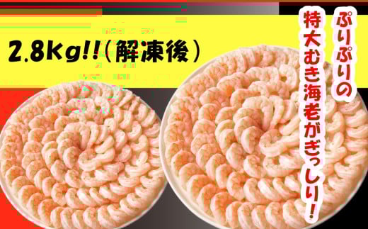 【G0648】特大ムキエビ2.8kg愛知県蒲郡市21000魚介・海産物エビ