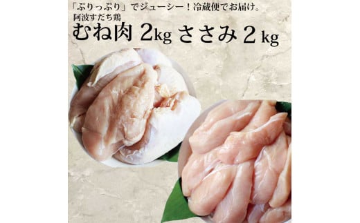 g{ wV[Zbgiނ˓E e2kgjY16000{