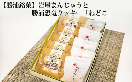 ꁄZbgY11000َqEXC[c̑ aَq
