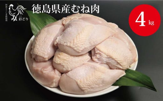 gʂǂ ނ˓ 4kgY15000{