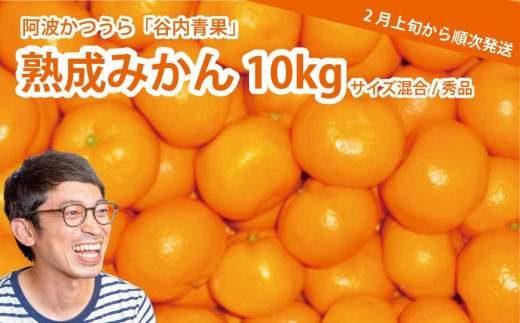 谷内青果 熟成みかん 秀品 サイズ混合 10kg徳島県勝浦町22000果物・フルーツみかん・柑橘類
