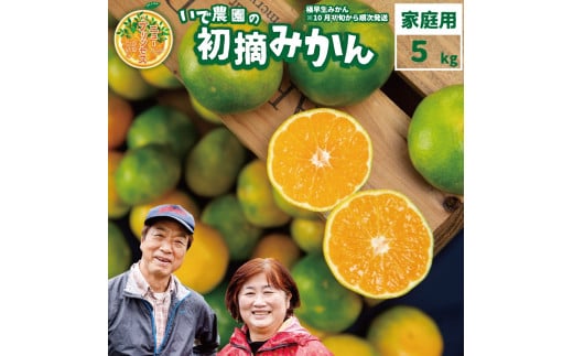 井出農園 訳あり 極早生 初摘みかん 家庭用 S-L混合 5kg徳島県勝浦町8000果物・フルーツみかん・柑橘類