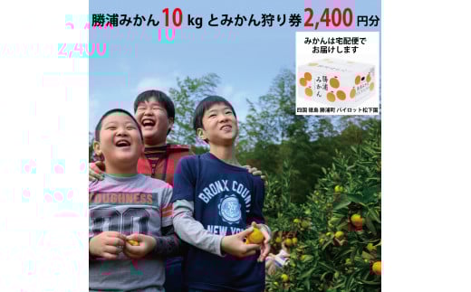 pCbg Y݂ 10kg{݂茔 2400~Y24000ʕEt[c݂Ek