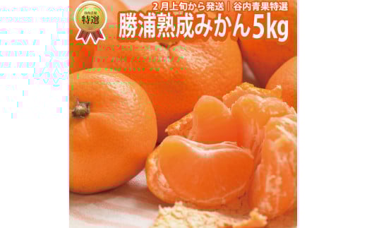 谷内青果 特選 熟成みかん S-Lサイズ 5kg徳島県勝浦町25000果物・フルーツみかん・柑橘類
