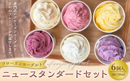 ニュースタンダード6個セット フローズンヨーグルト 120ml×6個 合計720ml セット 詰め合わせ東京都武蔵野市14000卵・乳製品ヨーグルト