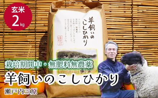 【栽培期間中・無肥料無農薬】瀬戸内三原 羊飼いのこしひかり 玄米2kg 2025年9月上旬発送予定 瀬戸内ビオファーム お米 こめ ご飯 002009広島県三原市10000米・パン白米