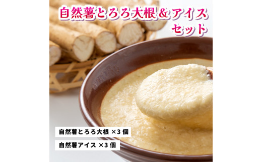 コクがあるのに後味すっきり!自然薯アイスクリーム&とろろ大根おろしセット(6個入り) お菓子 アイス 加工食品 自然薯アイスクリーム 029002広島県三原市17000菓子・スイーツアイス・