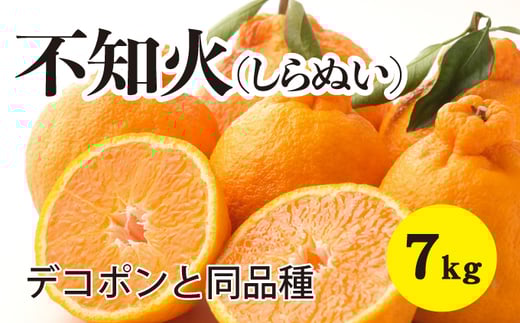 みかん 柑橘【先行受付】【2026年3月以降発送】甘さ抜群しらぬい!デコちゃん【デコポンと同品種】<約7kg> 広島 三原 佐木島 鷺島みかんじま 017028広島県三原市16000果物・フルーツみかん