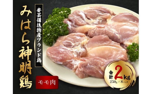 u݂͂_{v2kg(250g×8pbN) LY  _{ { Ƃ { g  `L O  J[ ς 012010LOs17000