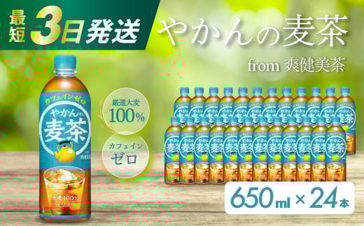 ₩̔ from u PET 650ml×24{(1P[X) ŒZ3Ŕ ybg{g  ނ  JtFC[  ܂Ƃߔ h ~ 014005LOs9000E