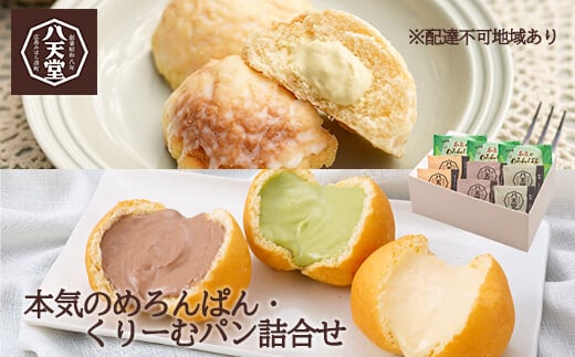 【八天堂】本気のめろんぱん・くりーむパン 9個詰合せ(全4種) 菓子パン メロンパン クリームパン カスタード 抹茶 チョコレート おやつ フローズン 冷凍 ギフト 015006広島県三原市14000米・パ