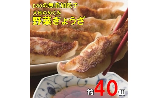 paoの無添加餃子「大地のめぐみ 野菜ぎょうざ」840g(約40個) 餃子 ギョーザ 惣菜 冷凍 中華 点心 おかず おつまみ 国産野菜 058007広島県三原市9000肉豚肉