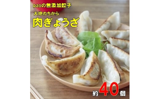 paoの無添加餃子「大地のちから 肉ぎょうざ」840g(約40個) 餃子 ギョーザ 惣菜 冷凍 中華 点心 おかず おつまみ 国産野菜 058008広島県三原市9000肉豚肉