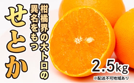 みかん 柑橘【先行受付】【2026年2月下旬以降発送】果汁たっぷり甘さに満足 柑橘の大トロせとか <2.5kg> 広島 三原 佐木島 鷺島みかんじま 017020広島県三原市12000果物・フルーツみかん・柑