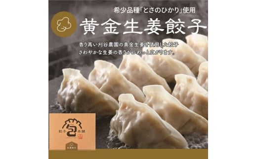 「黄金生姜餃子」260g(約20個) 餃子本舗 包 餃子 しょうが ギョーザ ぎょうざ 惣菜 冷凍 中華 点心 おかず おつまみ 国産野菜 058012広島県三原市7000鍋セット・総菜・加工食品総菜