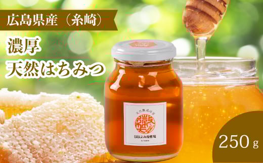 【国産 天然蜂蜜】ミニストック 熟成「濃厚はちみつ」250g (糸崎町産)はちみつ 無添加 広島県 三原市 106004広島県三原市18000鍋セット・総菜・加工食品ジャム・はちみつ