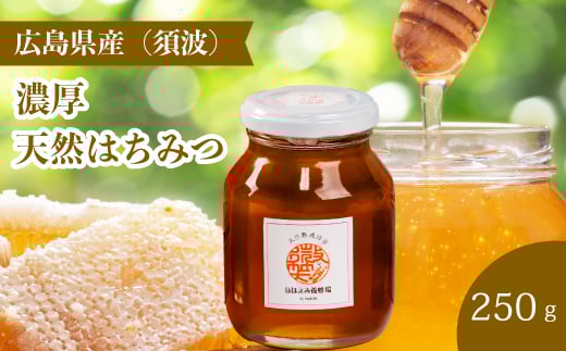 【国産 天然蜂蜜】ミニストック 熟成「濃厚はちみつ」250g (須波町産)ハチミツ 無添加 広島県 三原市 106006広島県三原市18000鍋セット・総菜・加工食品ジャム・はちみつ