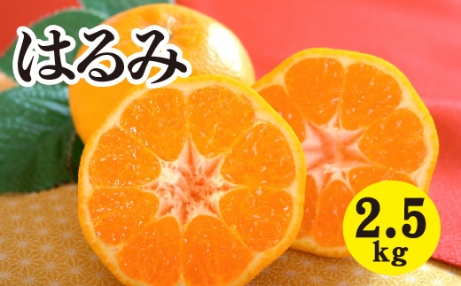 みかん 柑橘 【先行受付】【2026年2月以降発送】甘くてジューシー!瀬戸内さぎしまのはるみ <約2.5kg> 広島 三原 佐木島 鷺島みかんじま みかん  017043広島県三原市10000果物・フルーツみか