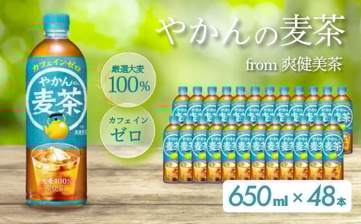 ₩̔ from u PET 650ml×48{(24{×2P[X) ŒZ3Ŕ ybg{g  ނ  JtFC[  ܂Ƃߔ h ~ 014061LOs18000E