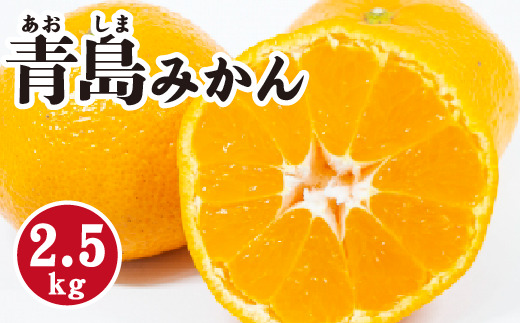 みかん【先行受付】【2026年1月末以降発送】 濃厚な甘さが特徴!青島みかん <約2.5kg> 広島 三原 佐木島 鷺島みかんじま 017053広島県三原市10000果物・フルーツみかん・柑橘類