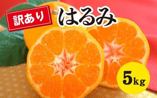 みかん 柑橘 【先行受付】【2026年2月以降発送】甘くてジューシー!瀬戸内さぎしまの訳ありはるみ <約5kg> 広島 三原 佐木島 鷺島みかんじま みかん 家庭用 017051広島県三原市12000果物・フ