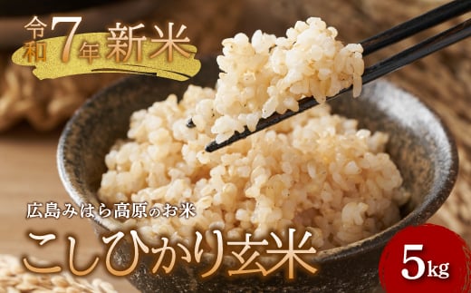 令和7年新米 コシヒカリ 玄米5kg お米 米 玄米 ごはん ご飯 広島県 三原市 220003広島県三原市14000米・パン玄米・雑穀米・もち米・餅