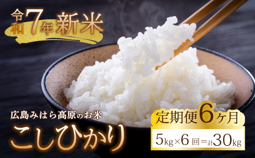 ■6か月定期便■ 令和7年新米 コシヒカリ 白米5kg お米 米 精米 ごはん ご飯 広島県 三原市 220006広島県三原市96000米・パン白米