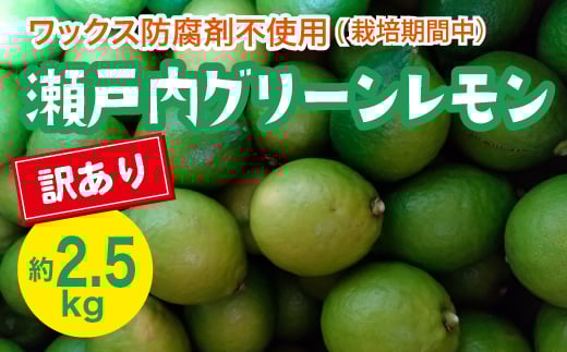 瀬戸内 訳ありグリーンレモン 約2.5kg【栽培期間中防腐剤ワックス不使用】【先行受付】【2025年10月以降発送】レモン 国産 佐木島 三原 広島 フルーツ 果物 柑橘 柑橘類 檸檬 訳あり 017058広島