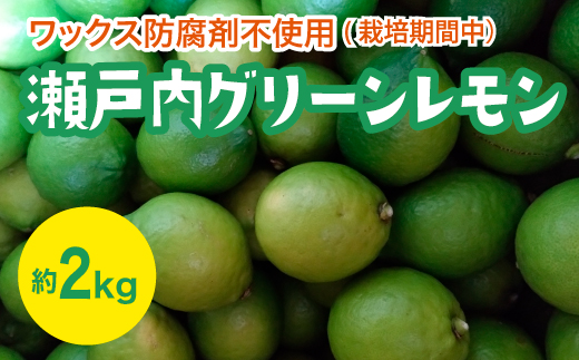 瀬戸内 グリーンレモン 約2kg【栽培期間中防腐剤ワックス不使用】【先行受付】【2025年10月以降発送】レモン 国産 佐木島 三原 広島 フルーツ 果物 柑橘 柑橘類 檸檬 017057広島県三原市9000果