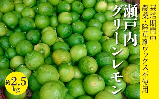 レモン 【先行受付】【2025年10月以降発送】【栽培期間中 農薬・除草剤不使用】離島 佐木島!グリーンレモン 約2.5kg   広島 三原 佐木島 鷺島みかんじま 017061広島県三原市11000果物・フルーツ