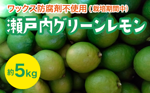 瀬戸内 グリーンレモン 約5kg【栽培期間中防腐剤ワックス不使用】【先行受付】【2025年10月以降発送】レモン 国産 佐木島 三原 広島 フルーツ 果物 柑橘 柑橘類 檸檬 017056広島県三原市15000果