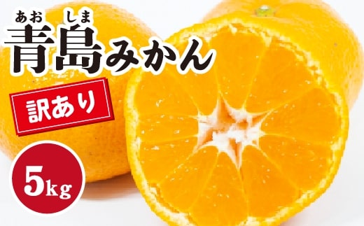 みかん【先行受付】【2026年1月末以降発送】濃厚な甘さが特徴!訳あり青島みかん <約5kg> 広島 三原 佐木島 鷺島みかんじま 017067広島県三原市11000果物・フルーツみかん・柑橘類