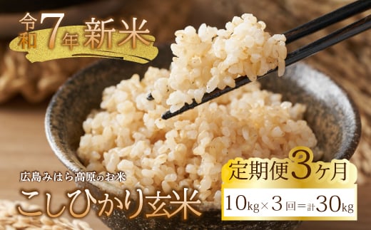 3ց ߘa7NV RVqJ 10kg   ͂  L Os 220011LOs75000āEpāEGāEāE