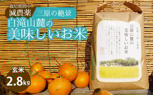 ≪栽培期間中減農薬≫ 三原の絶景白滝山麓の美味しいお米 玄米2.8kg 2025年10月発送予定 瀬戸内ビオファーム ご飯 米 おこめ 002034広島県三原市10000米・パン玄米・雑穀米・もち米・餅
