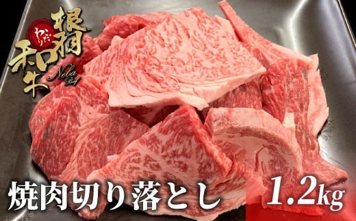 大人気につき最短1月発送★根羽こだわり和牛 焼肉切り落とし 1.2kg ( 600g×2 ) リブロース カタロース モモ カタ バラ ウデ 焼肉用 切り落とし 20000円 国産黒毛和牛 ブランド牛  霜降り 不揃い