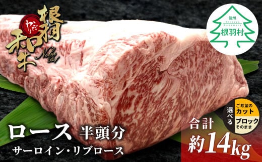 Ha јa [XubN  14kg T[C u[X ubN@   Y j p[eB Xe[L ē BBQ ~ Ă Ԃ l