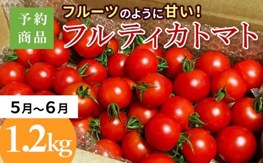 3人に1人がリピータ!数量限定?先行予約品※2026年5月〜6月発送フルーツのように甘い フルティカトマト 1.2kg 令和7年度産 ※予約商品※割れ保障付 5000円長野県根羽村5000野菜・きのこトマト