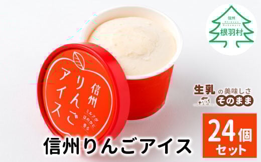 期間限定価格!信州りんごアイス たっぷり24個入り アイスクリーム りんご アイス アイスクリーム アイスミルク ミルク 牛乳 スイーツ デザート 10000円 10,000円長野県根羽村10000菓子・スイー