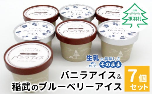 マダガスカル産バニラビーンズ香る!バニラアイスクリーム&いなぶのブルーベリーアイス (80ml)×7個セット バニラ アイスクリーム ブルーベリー バニラアイス 生乳 5000円長野県根羽村5000菓
