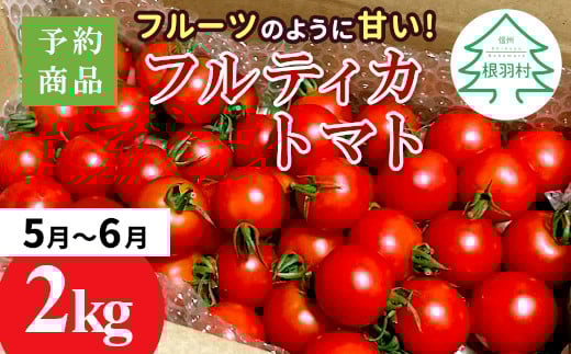 予約品※2025年5月〜6月発送★フルーツのように甘い フルティカトマト 2kg 令和7年度産 ※予約商品※割れ保障付 6000円長野県根羽村6000野菜・きのこトマト