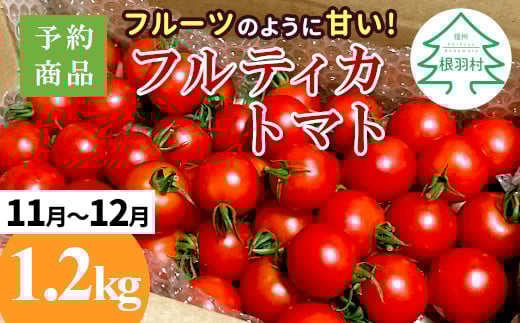 予約品※2025年11月〜12月発送フルーツのように甘い フルティカトマト 1.2kg 令和7年度産 ※予約商品※割れ保障付 5000円長野県根羽村5000野菜・きのこトマト