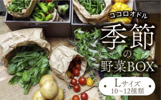 G߂̖BOX  LTCY i10`12ށjyFarm Regaloz{ ① ܂ [MDU003]򕌌ys20000؁Ê̑ 