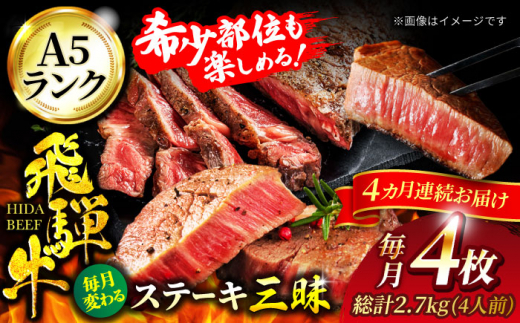 y4ցzˋ Xe[LOi4lOjv2,720gyLЃ}S[zA5N  a Y [MBE061]򕌌ys295000