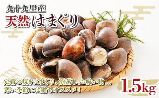 九十九里産 大粒 天然はまぐり1.5kg ふるさと納税 はまぐり 蛤 天然 焼きはま 網焼き 酒蒸し お吸い物 お祝い パエリア 和食 活はまぐり 川喜屋水産 節句 ひな祭り ひなまつり 手土産  SHF001千