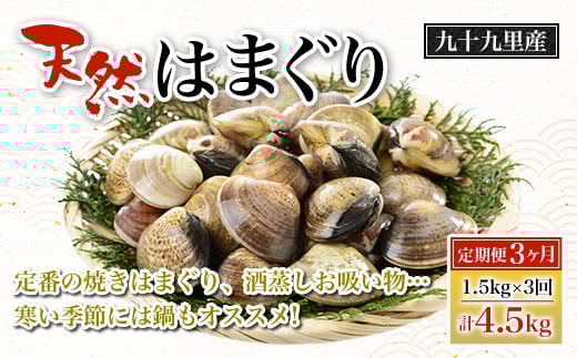 【定期便3ヶ月】九十九里産 大粒 天然はまぐり1.5kg×3回 計4.5kg ふるさと納税 はまぐり 蛤 天然 焼きはま 網焼き 酒蒸し お吸い物 お祝い パエリア 和食 活はまぐり 千葉県 白子町 SHF009千葉県