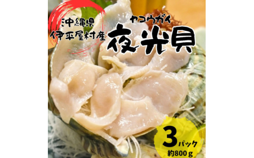 夜光貝 3パック 800g(1パックあたり200g〜300g)【1544708】沖縄県伊平屋村12000魚介・海産物貝類