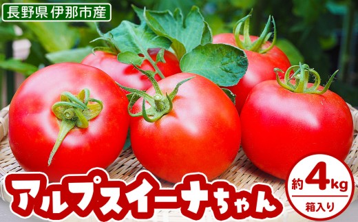 アルプスイーナちゃん トマト(4キロ箱入り)|伊那市 収穫 美味しい トマト 甘さ 酸味 バランス 濃厚 味 おいしい 空気 ふるさと納税【010-07】長野県伊那市10000野菜・きのこトマト