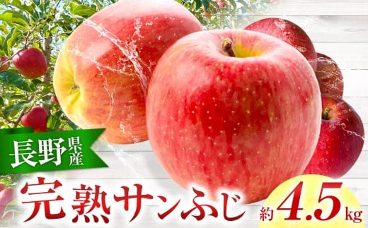 完熟サンふじ 4.5kg(りんご・リンゴ・林檎)|りんご 林檎 果物 フルーツ 伊那市 長野県 信州 甘い サンふじ【011-08】長野県伊那市11000果物・フルーツりんご・梨