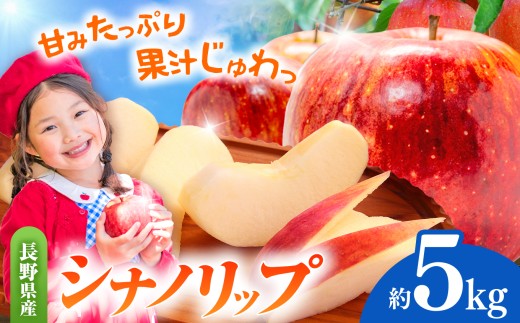 先行受付 令和8年度産 シナノリップ(夏りんご) 5kg|シナノリップ りんご 林檎 夏りんご 先行受付 甘い 果物 フルーツ【012-35】長野県伊那市12000果物・フルーツりんご・梨