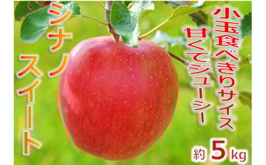 【013-45】令和7年10月上旬頃発送 信州のりんご シナノスイート 厳選!小玉食べきりサイズ! 約5キロ長野県伊那市13000果物・フルーツりんご・梨